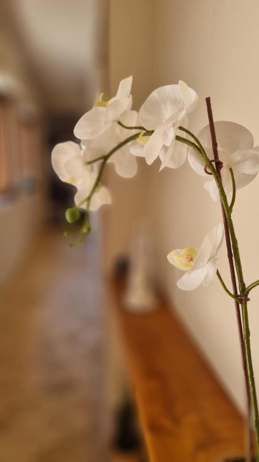 Casa Vacanze Giulia Giarre Extérieur photo